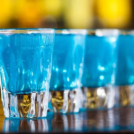 מלון Fort Hotel 3*